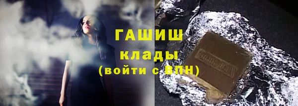 метадон Богданович