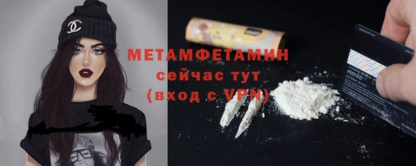 метадон Богданович