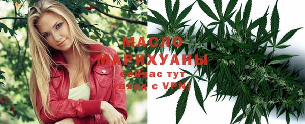метадон Богданович