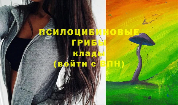 спайс Богородск