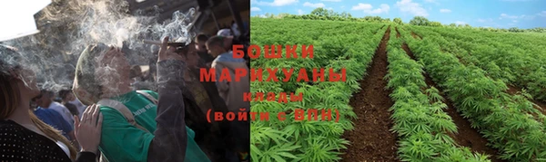 метадон Богданович