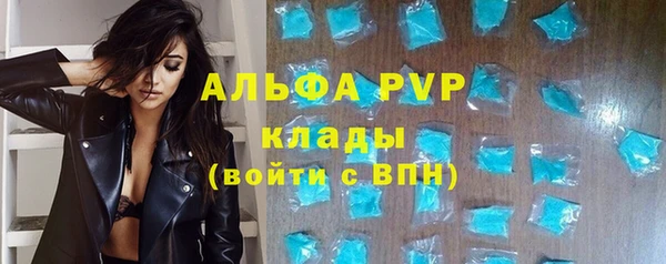 метадон Богданович