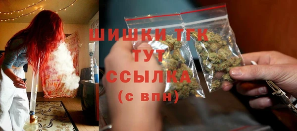метадон Богданович