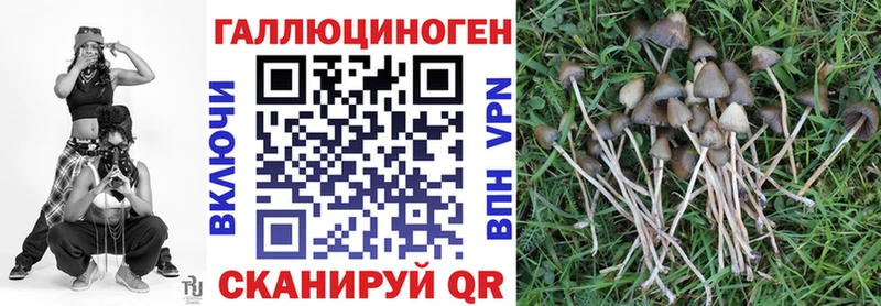 Псилоцибиновые грибы ЛСД  Малмыж 